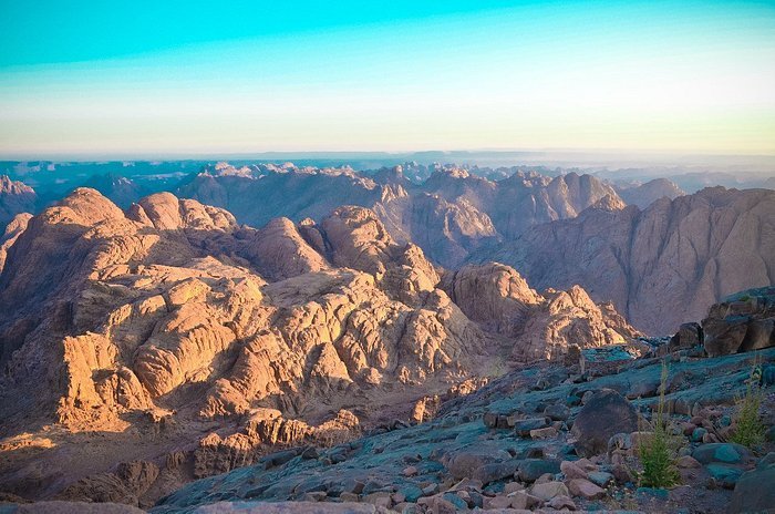 Saint Catherine